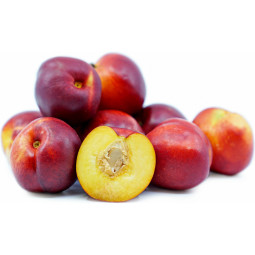 Yellow Nectarine Corsica