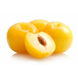 Yellow Plum  黃李子