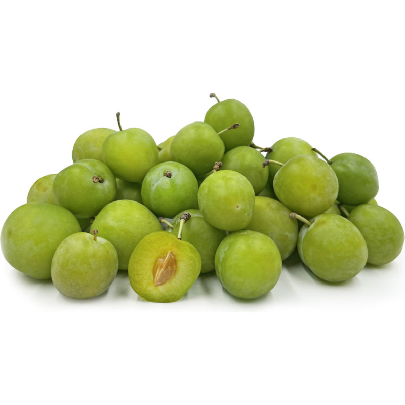 Plum Greengage True (Moissac)