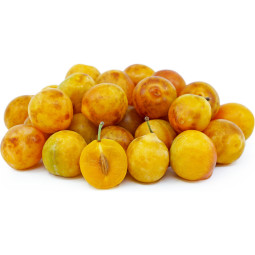 Mirabelle Plum Paris Select