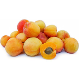 Apricot - Cal AAA Spain (in Tray)