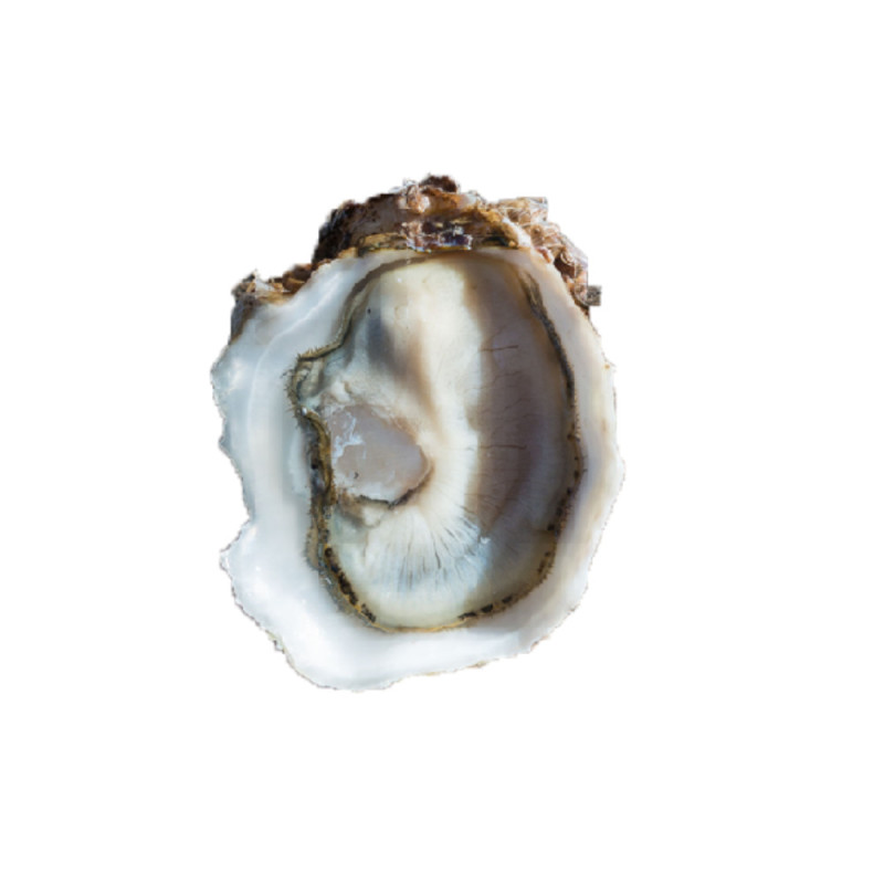 Chilled Speciales Tarbouriech Oyster No.2   法國特級生蠔no. 2  Tarbouriech