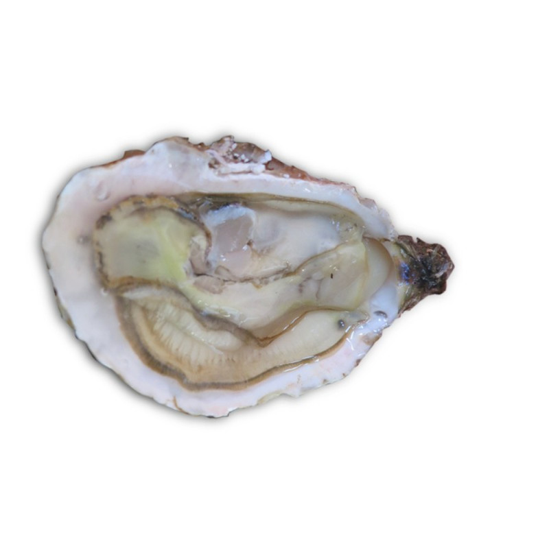 Chilled Bouzigues Oysters No.1      法國布齊蓋生蠔no. 1  Tarbouriech