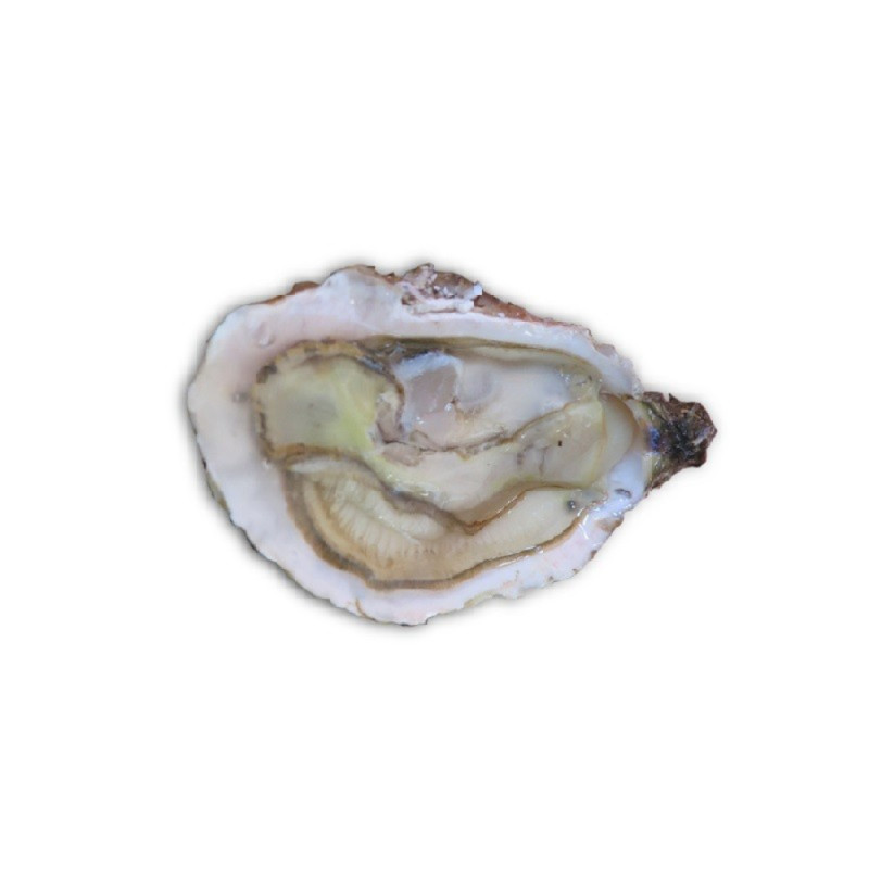 Chilled Bouzigues Oysters No.3      法國布齊蓋生蠔no. 3  Tarbouriech