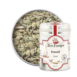 Fennel Seed 茴香籽  Terre Exotique