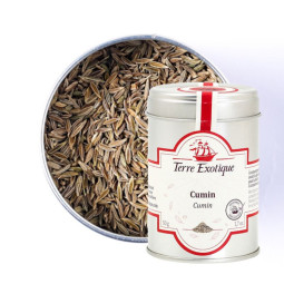 Cumin Seed 小茴香籽  Terre Exotique