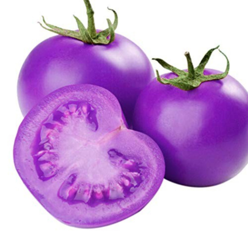 Purple Tomato