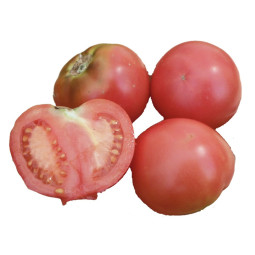 Rose De Bern Tomatoes