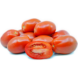 Torino Tomato