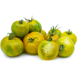 Green Zebra Tomato - Soil Grown