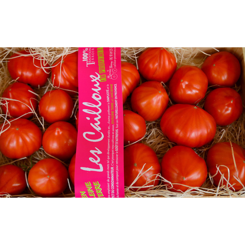 Oxheart Tomato - Les Cailloux 牛心蕃茄