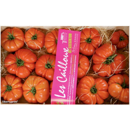 Marmande Tomatoes