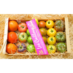 Heirloom Rainbow Tomatoes