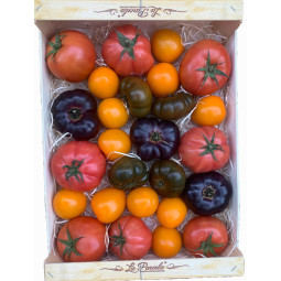 Heirloom Tomato