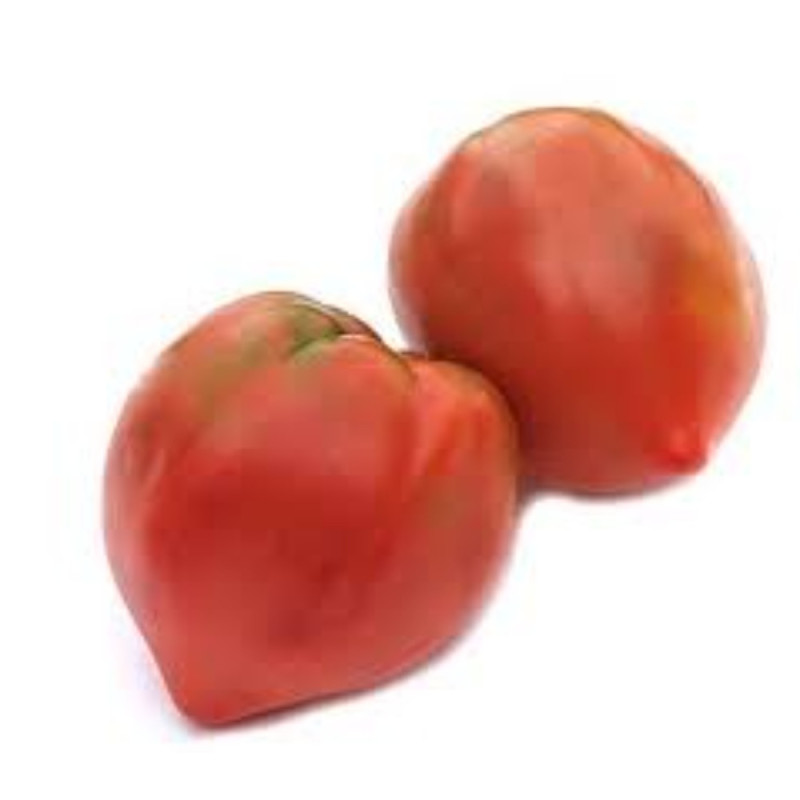 Oxheart Tomato