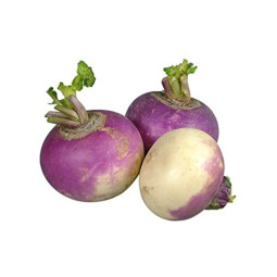 Chilled Turnip    紫色大頭菜  Selected By Cff