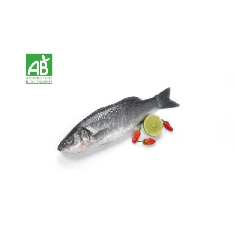 Chilled Reynaud  Organic Farmed Seabass   X10Ea    法國有機養殖鱸魚  Reynaud Oso