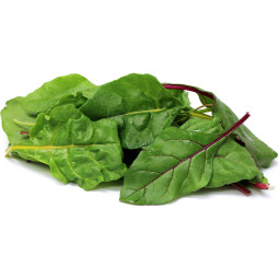 Salad Swiss Chard