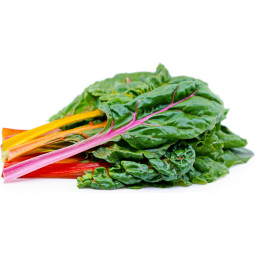 Rainbow Chard