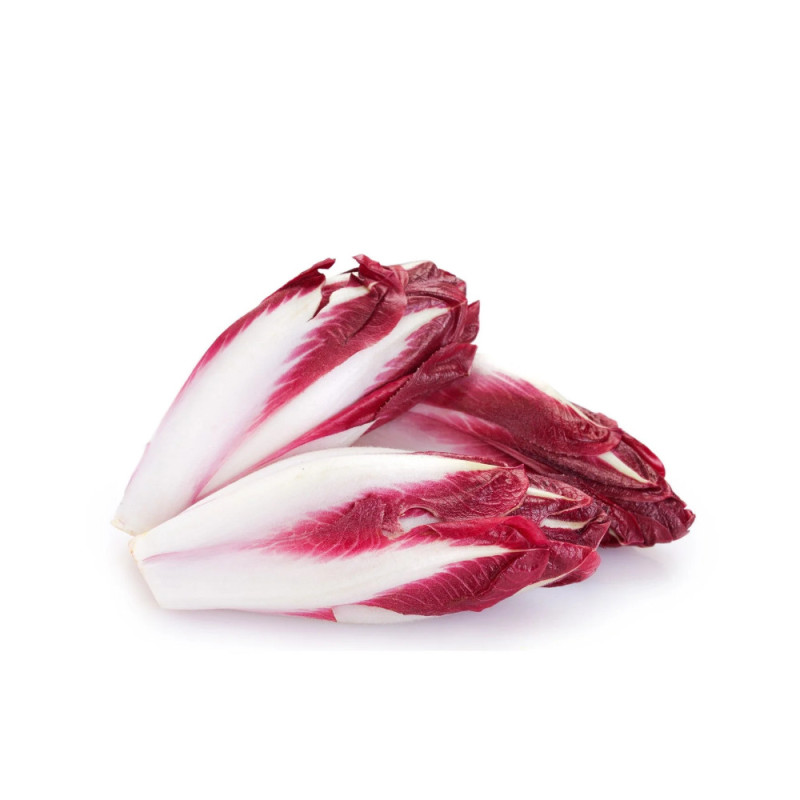 Chilled Chicory  Red 紅菊苣  Selected By Cff