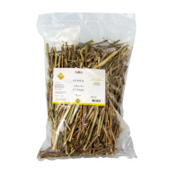 Dried Fennel Stick  Selected By Cff