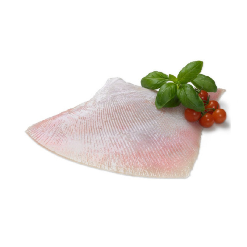 Chilled Skate Wings Skin Off 去皮鰩魚  Viviers Audierne