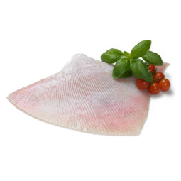 Chilled Skate Wings Skin Off 去皮鰩魚  Viviers Audierne