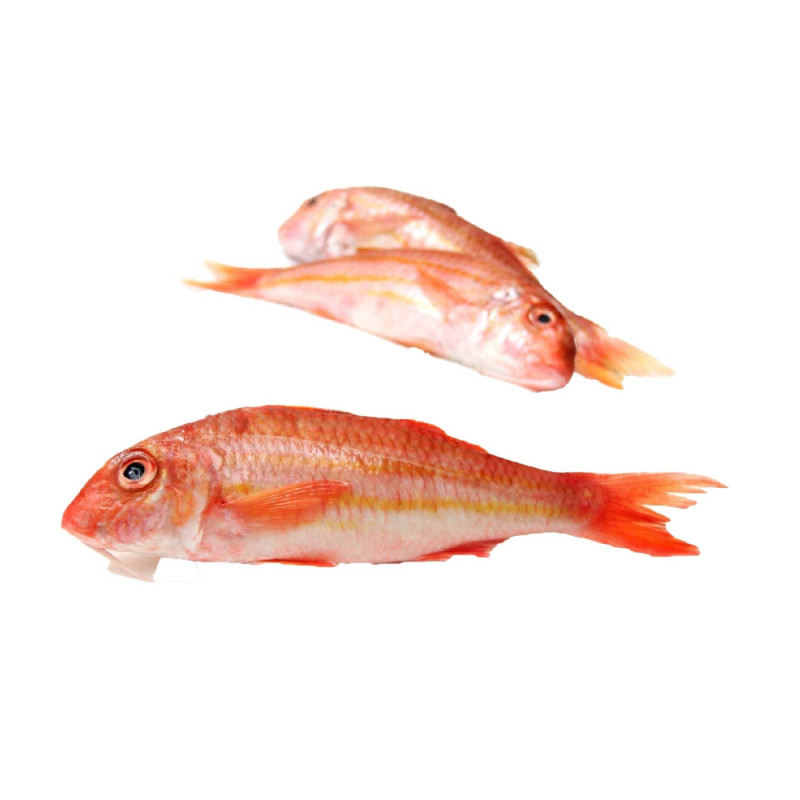 Chilled Redmullet Viviers Noirmoutier  紅鯔魚  Viviers Noirmoutier