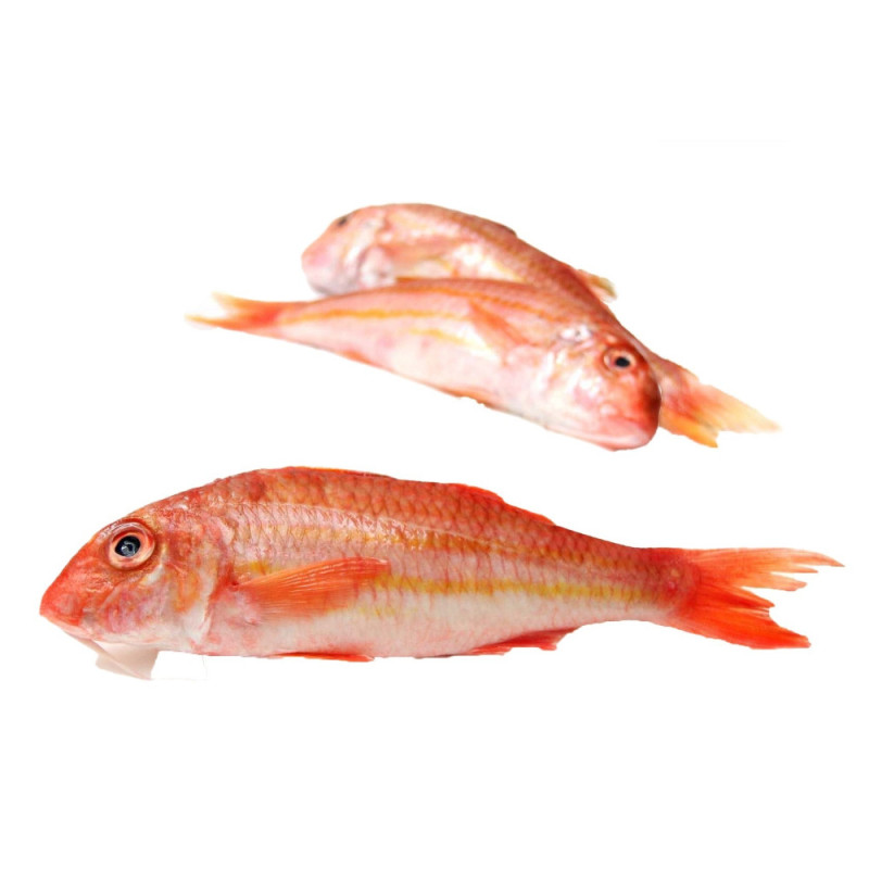 Chilled Redmullet Viviers Noirmoutier  紅鯔魚  Viviers Noirmoutier