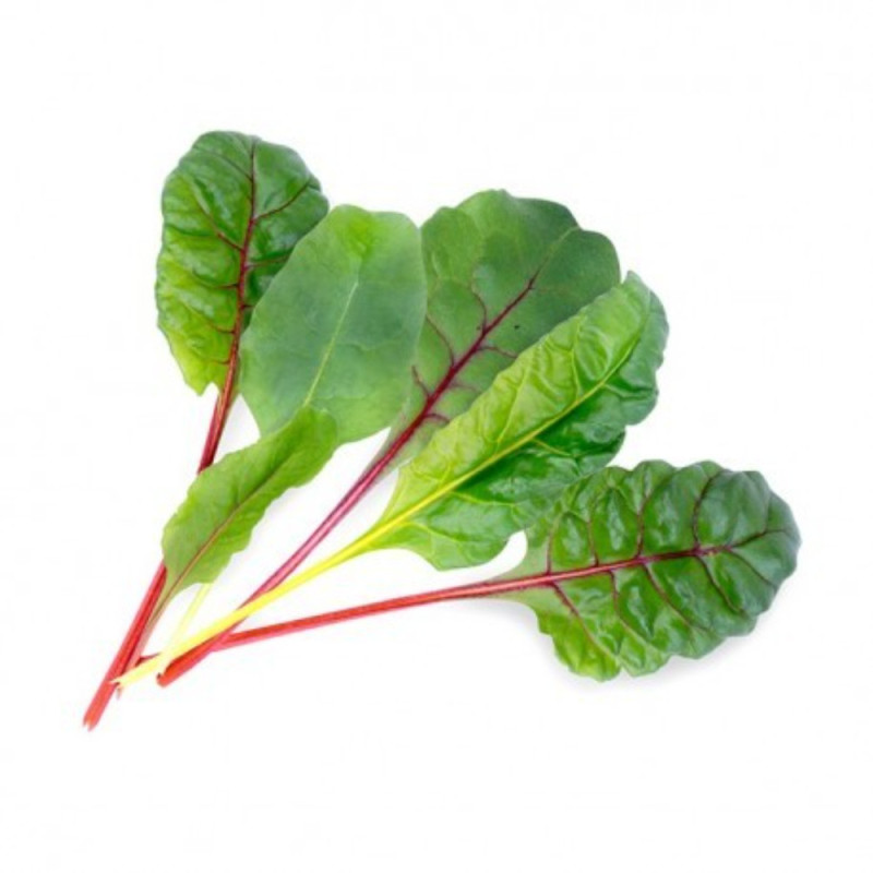 Organic Swiss Chard France 有機菾菜 / 有機君達菜