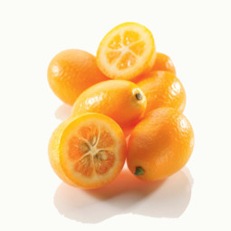 Kumquat 金桔