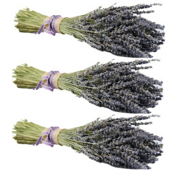 Dried Lavender Flower薰衣草乾花