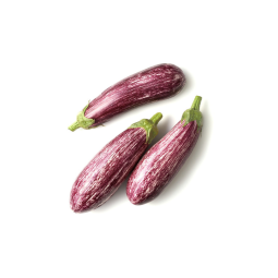 Chilled Graffiti Eggplant 塗鴉茄子 Selected by CFF