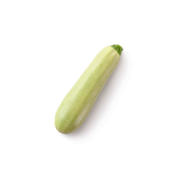 Long White Zucchini
