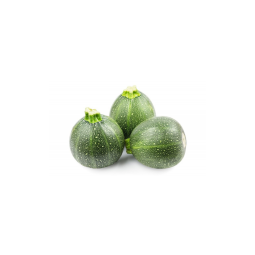 Round Green Zucchini L'OUSTALET