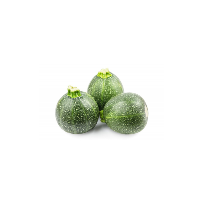 Round Green Zucchini L'OUSTALET Round Green Zucchini L'OUSTALET