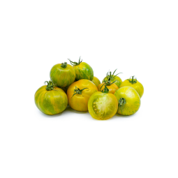 Green Zebra Tomatoes