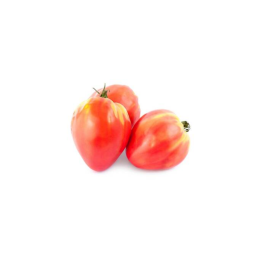 Chilled Tomatoes Oxheart Tomato Open Soil 牛心蕃茄 Selected by CFF
