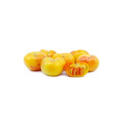 Chilled Tomatoes  Pineapple Open Soil 菠羅蕃茄  Selected by CFF