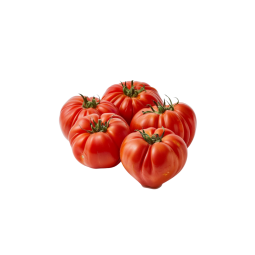 Marinda Tomato Cat 1