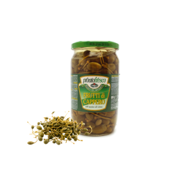 Caper Plants   酸豆果  Le Delas