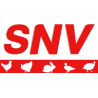 SNV